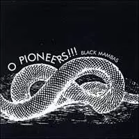 Black Mambas by O Pioneers!!!