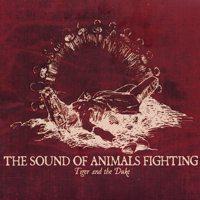 The sound of animals fighting   DISCOGRAPHIE preview 1